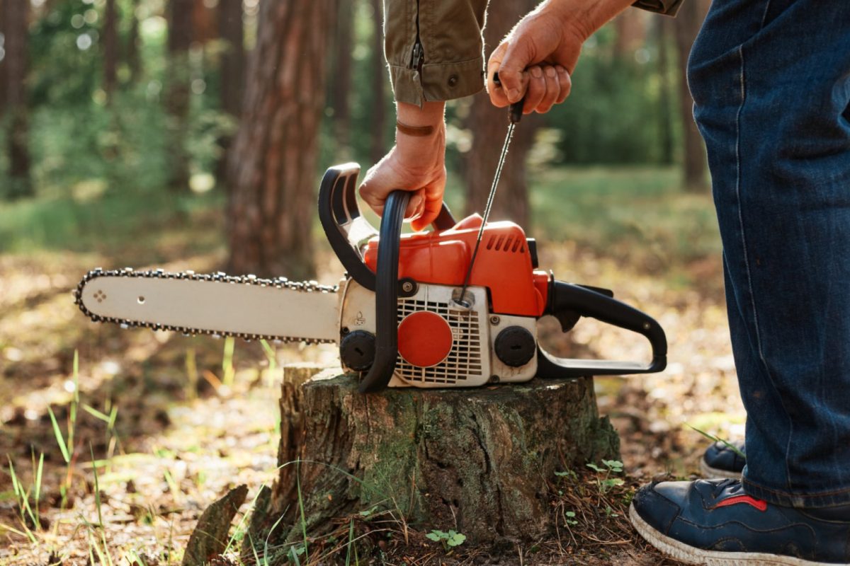 Les avantages de confier l'élagage de vos arbres à un professionnel